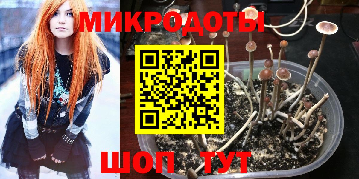 Псилоцибиновые грибы MAGIC MUSHROOMS  Вход с VPN  Одинцово  купить наркотик  Галлюциногенные грибы Magic Shrooms 