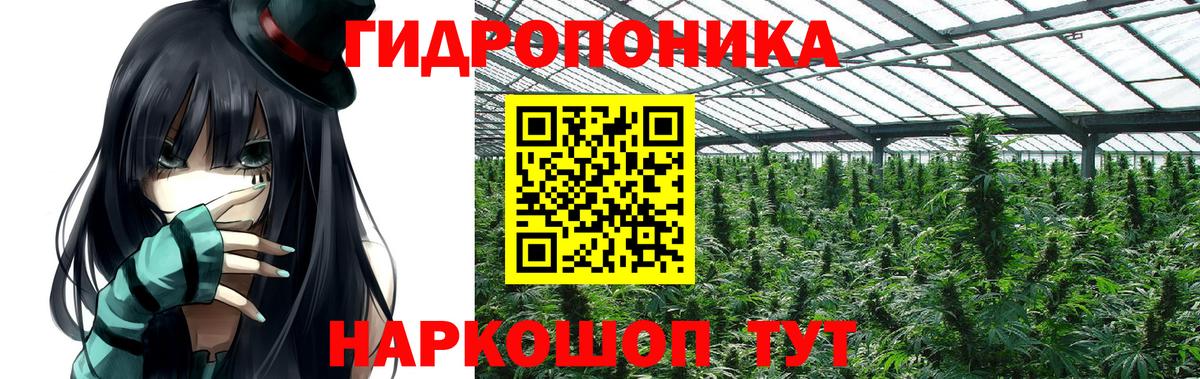 Бошки Шишки планчик Одинцово